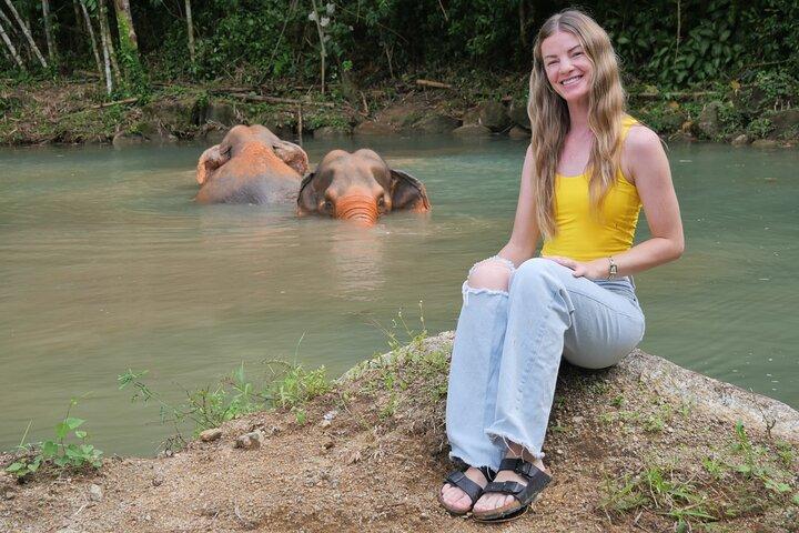 Phuket Elephant Sanctuary Osservazione e corso di cucina