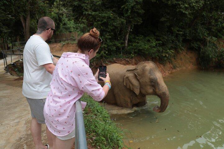Phuket Elephant Sanctuary Osservazione e corso di cucina