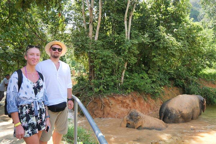 Phuket Elephant Sanctuary Osservazione e corso di cucina