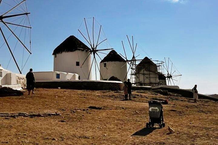 Visite de l'île privée de Mykonos en demi-journée