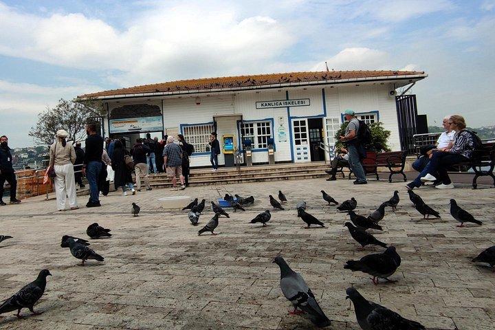 Istanbul Revealed: Historic Pathways & Bosphorus Serenity