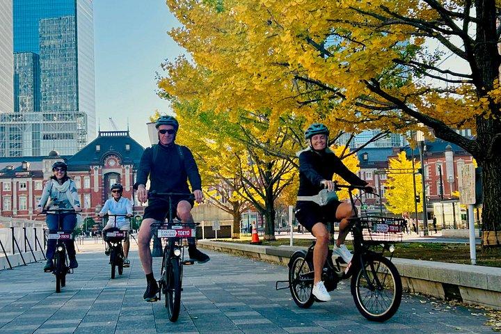 東京ハイライト＆ローカルライフEバイクツアー 少人数制3時間