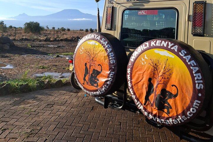 Excursion d'une journée à Amboseli
