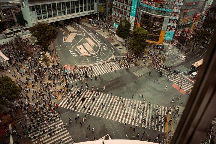 Dynamisk Tokyo privat anpassad rundvandring