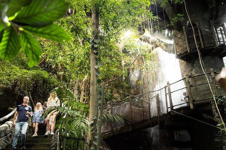 Göteborg Universeum biljett - Akvarium, Vetenskap, Djurliv, Djurpark