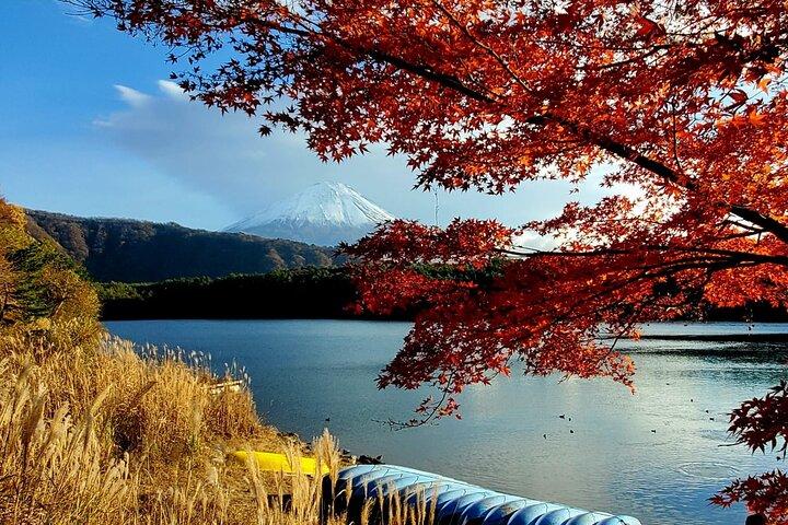 Mt. Fuji Customizable Private Tour for 9 people