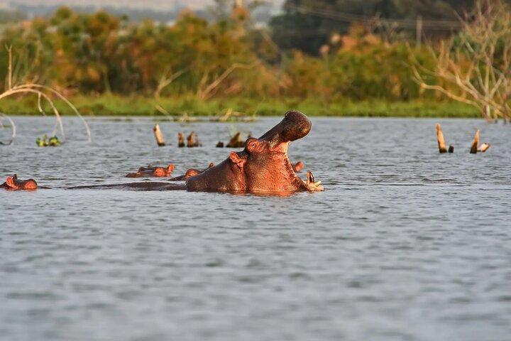 Una giornata al Parco Nazionale Nakuru e giro in barca sul lago Naivasha