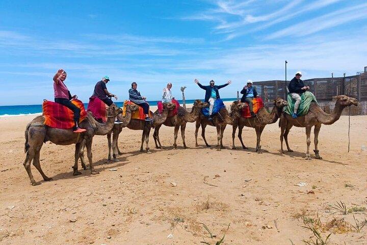 Tânger: Visita guiada pela cidade em torno dos principais pontos de interesse