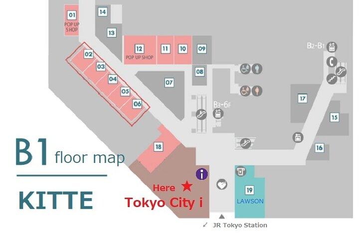 東京発新幹線で行く英語ガイド付き京都1日ツアー