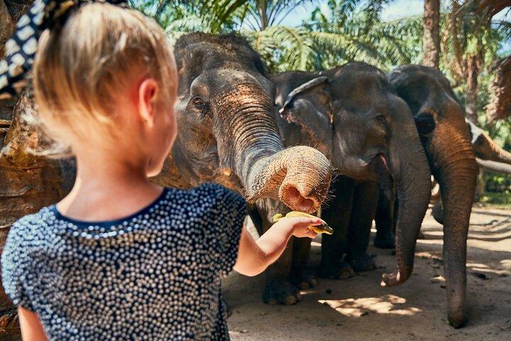 Phuket : Excursión de un día con la ciudad de Phuket, Templos, y Aventura