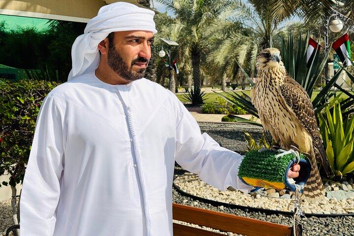 Visite de l'hôpital Falcon avec transport