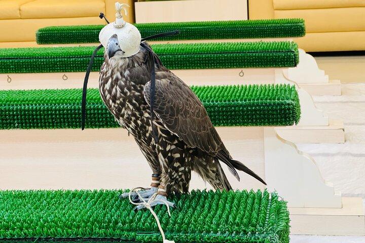 Visite de l'hôpital Falcon avec transport
