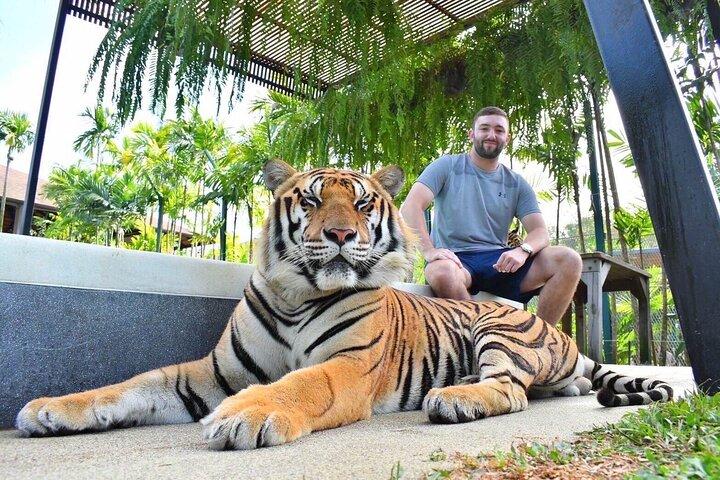 Phuket : Excursión de un día con la ciudad de Phuket, Templos, y Aventura