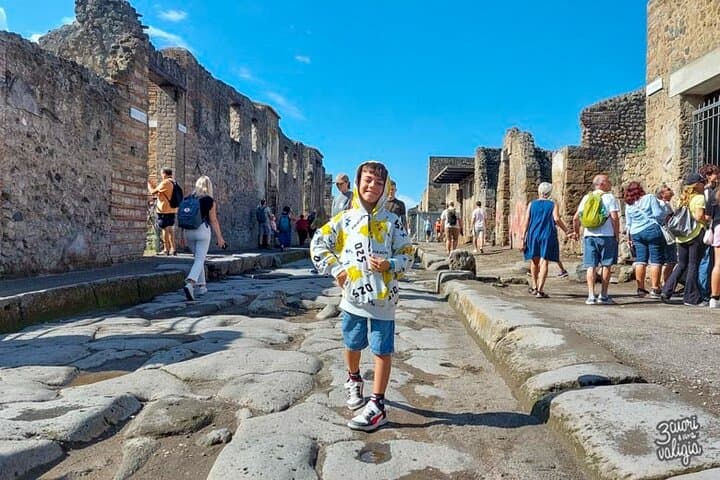 POMPEI Half Day TOUR - Departure from NAPLES Centre (TICKET INCLUDED)
