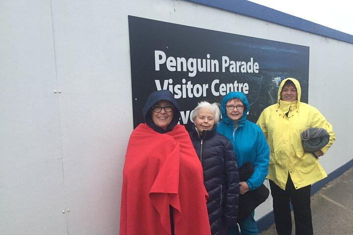 Visite privée personnalisée des pingouins avec des billets Premium Penguin