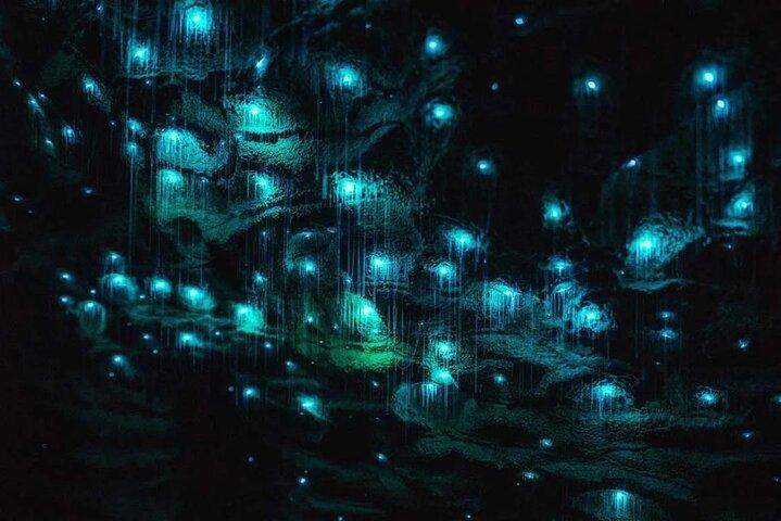 Ruakuri, Waitomo Glowworm e set cinematografico di Hobbiton