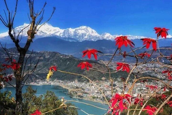 "Escursione panoramica: 3-4 ore a piedi villaggio da Sarangkot a Naudanda"