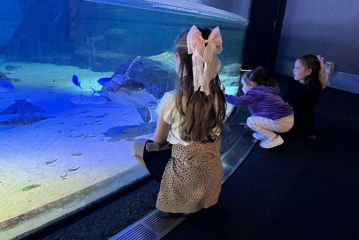プライベートツアー：オークランド市内、水族館、スカイタワー、エデン山＆ウェタ