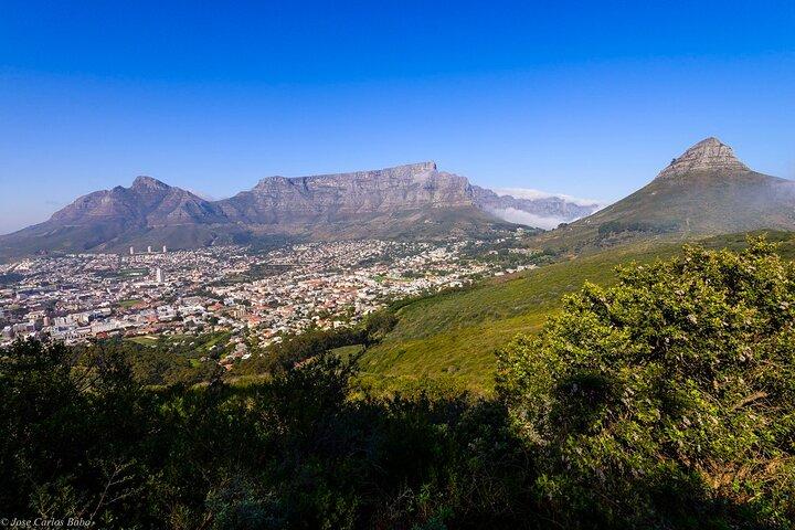Private Half-Day Sightseeing in Cape Town with a local