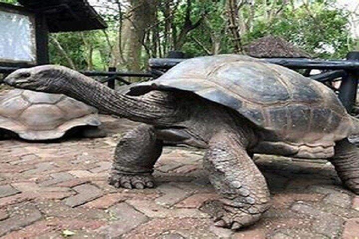 刑務所島とザンジバルストーンタウン体験