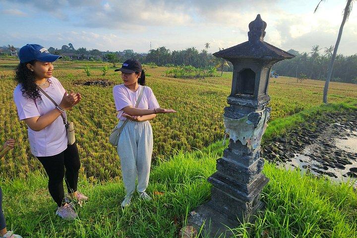 伝統と自然を駆け抜ける「霊田の朝散歩」