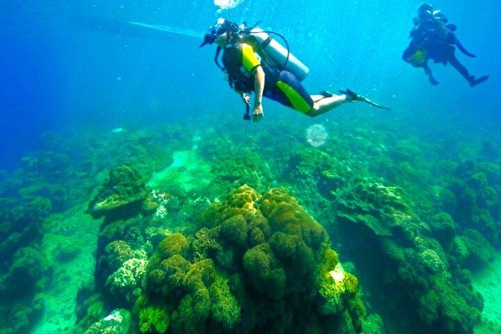 プーケットスキューバダイビング：ラチャ島またはメイトン島（全レベル対象）