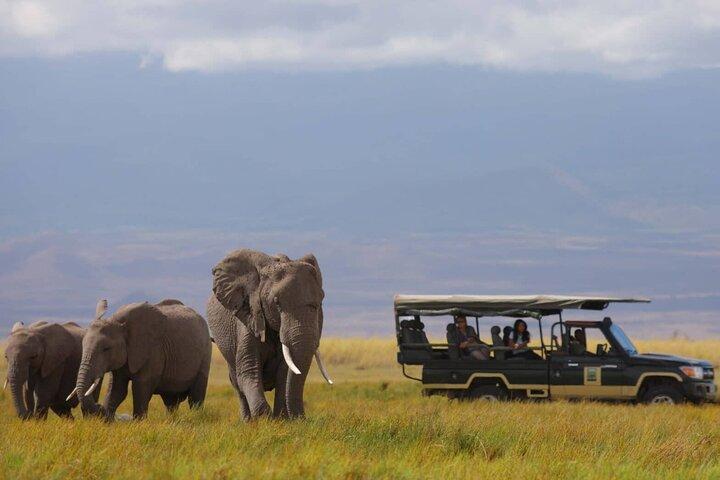 Tweedaagse Amboseli Nationaal Park Safari