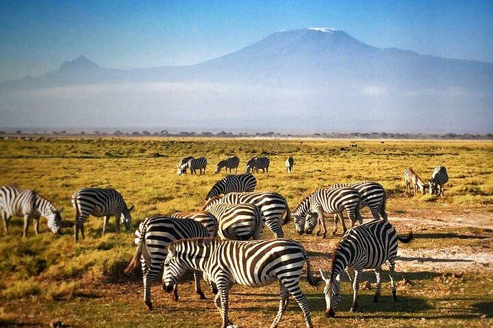 Zwei Tage Amboseli Nationalpark Safari