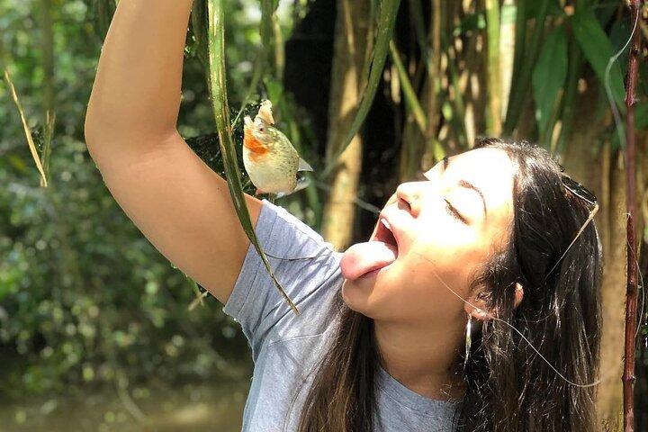 Iquitos: Jungle Exploration Amazon 3D/2N - Alles inbegrepen