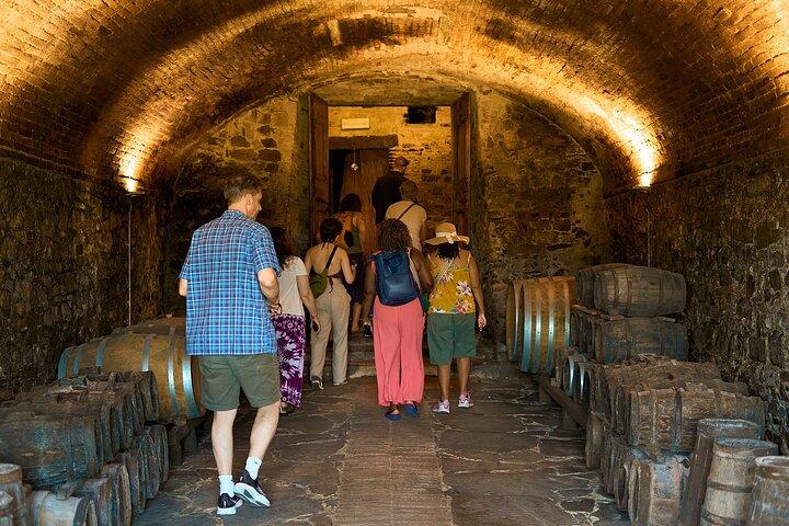 Excursión al vino de Chianti con catas Experiencia semiprivada