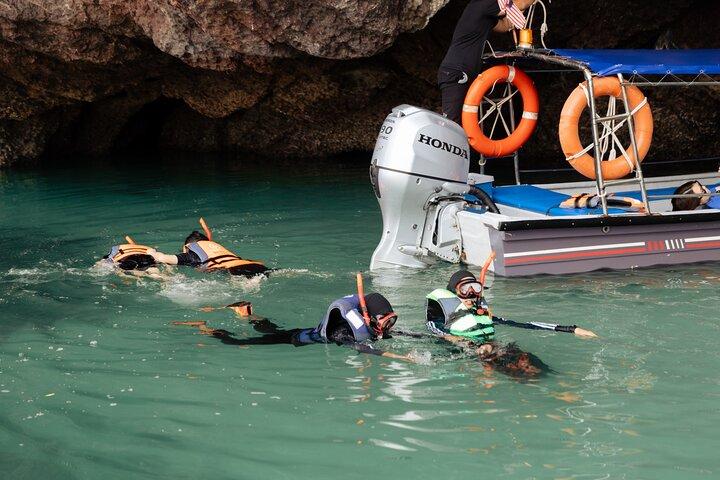 3 timmars Mangrove Tour med bonus Snorkling erfarenhet
