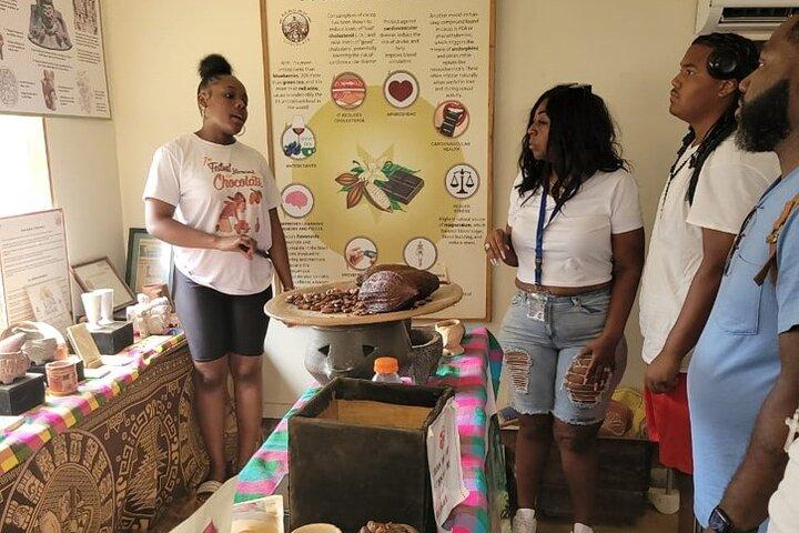 Experiência Tropical em Roatan: Animais, Chocolate e Rum