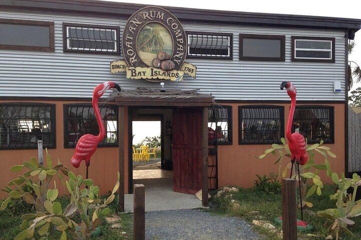Experiência Tropical em Roatan: Animais, Chocolate e Rum
