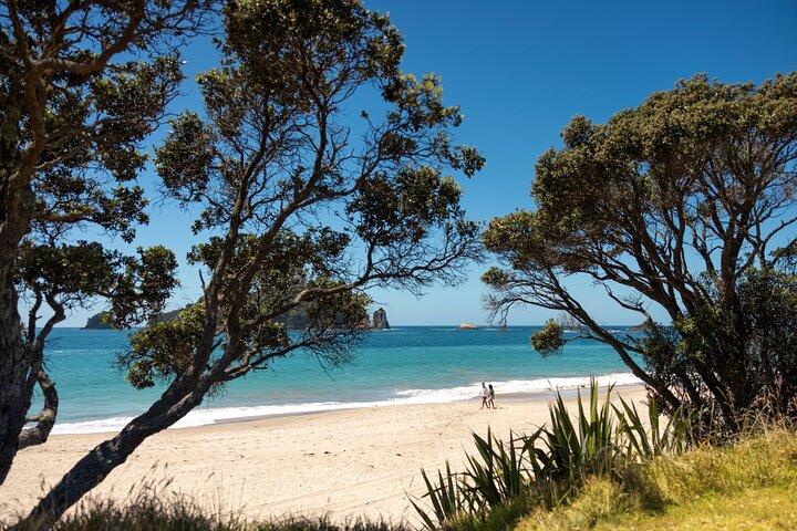 Excursion d'une journée à Coromandel Cathedral Cove Walk & Hot Water Beach
