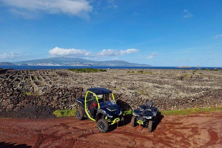 3H Randonnée de buggy dans les vignes de l'île du Pico