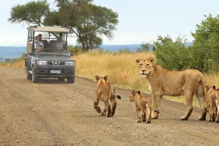8 dagar, 7 nätter Kenya och Tanzania privat Safari paket