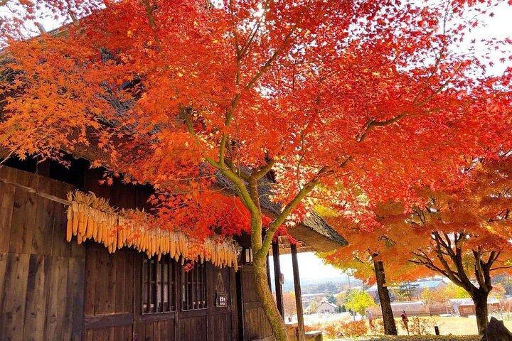 Monte Fuji e Iconic Scenic Spots Tour de um dia