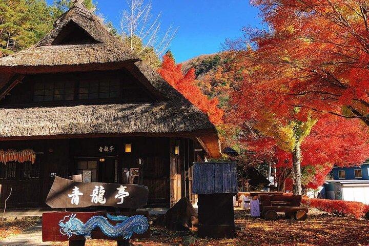 Monte Fuji e Iconic Scenic Spots Tour de um dia