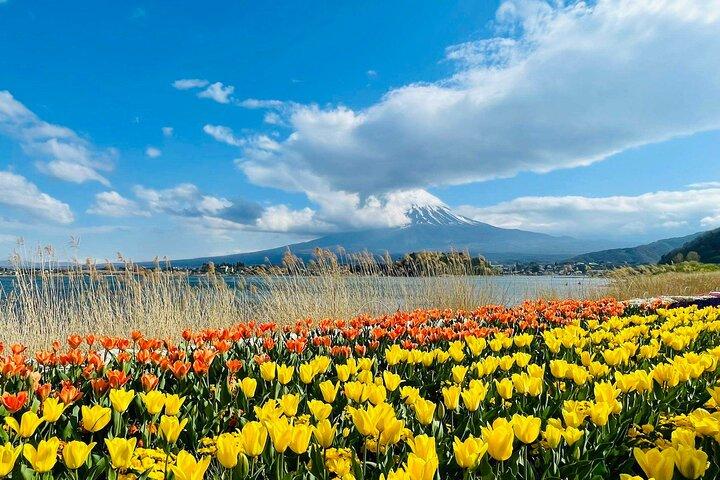 Monte Fuji e Iconic Scenic Spots Tour de um dia