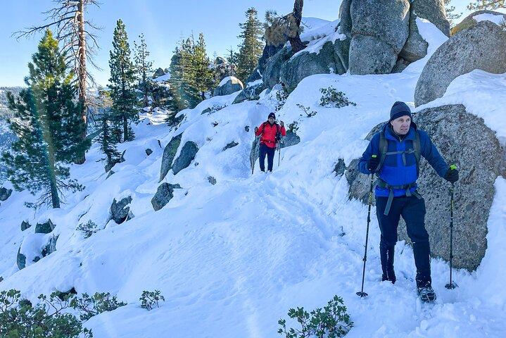 Yosemite Winter Wonderland Senderismo guiado o raquetas de nieve