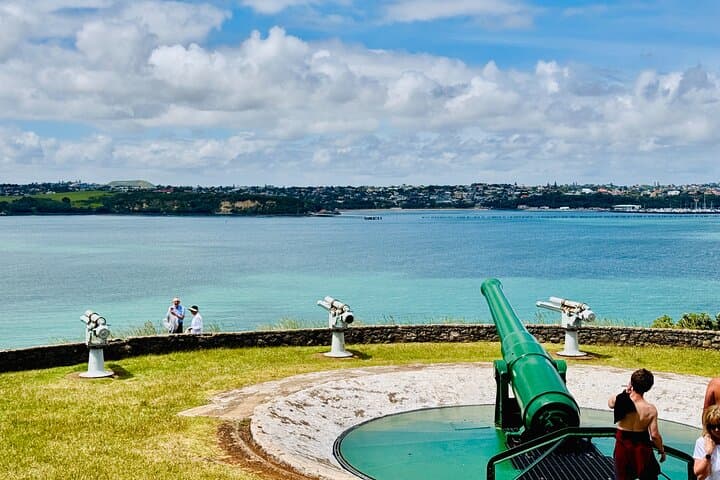 Full-Day Auckland Discovery