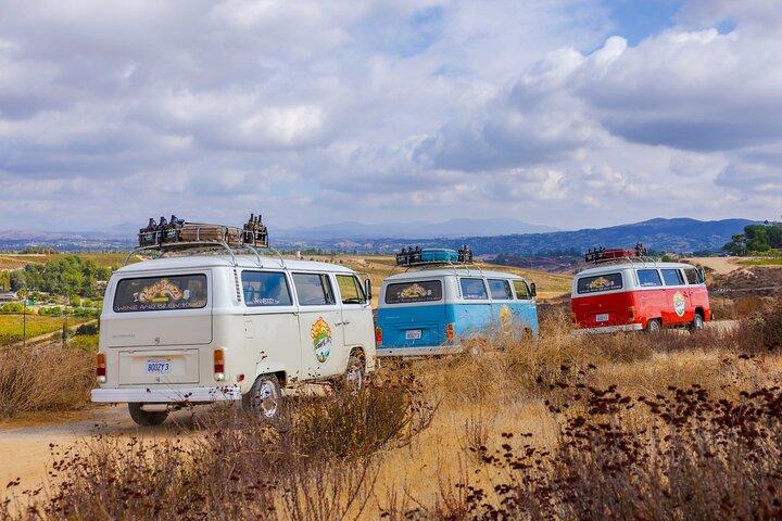 VW Bus 2 - Stop Wine Tour Temecula - Retro Cali Vibrationen