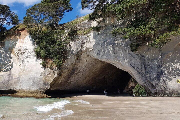 Excursion d'une journée à Coromandel Cathedral Cove Walk & Hot Water Beach