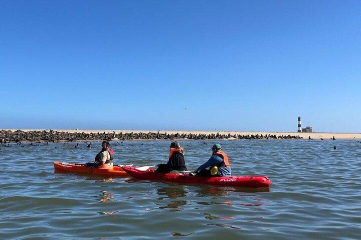 Robbenkajak & Sandwich Harbour Tour