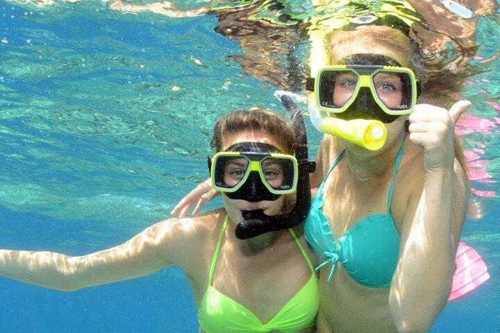 Cham Island snorkling og naturskønne tur fra Da Nang eller Hoi An