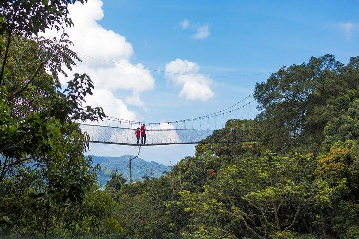 2 - Escursione di un giorno Nyungwe Park : canoa, zipline, cascate e primati
