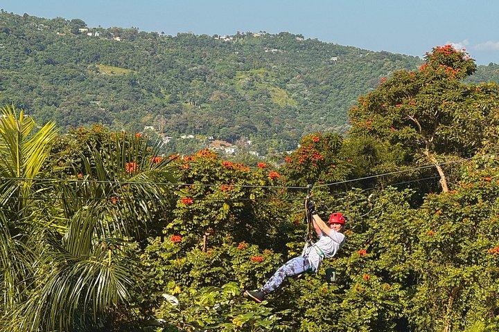 Ziplining at the Rainforest in Puerto Rico