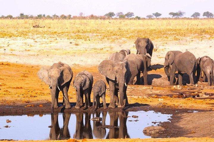 12-Day Hwange, Victoria Falls, Chobe, Moremi & Okavango