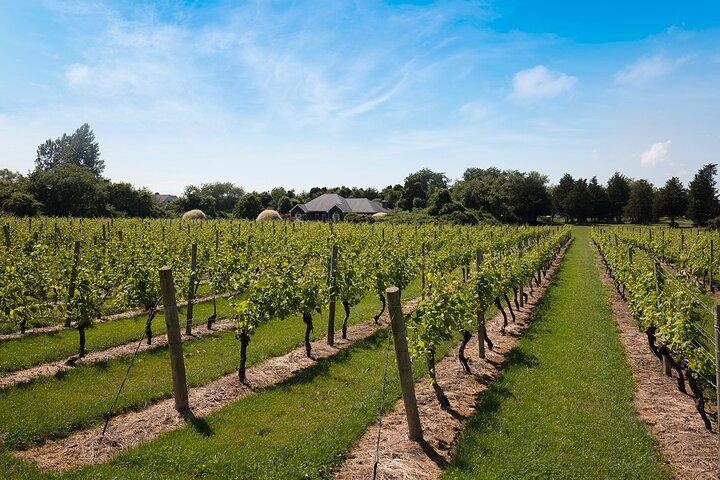 Hamptons, Sag Harbor & Outlet Shopping, 1 - Tagestour ab NYC