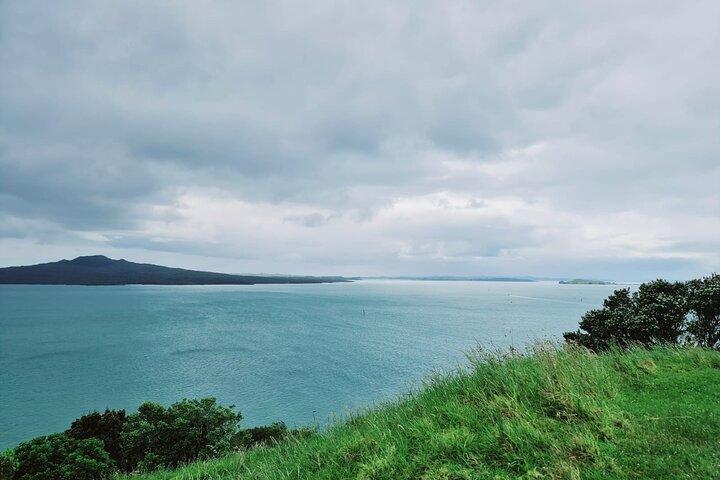 Visite guidée d'une demi-journée à Auckland City